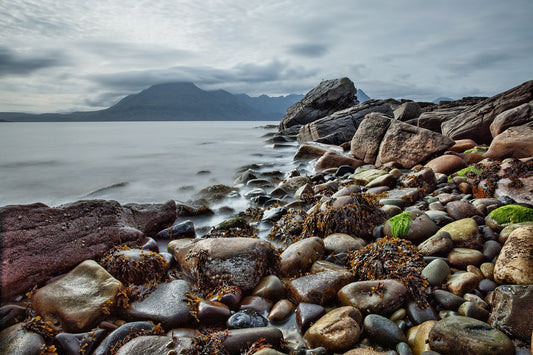 Dulse: slipping on challenges and opportunities
