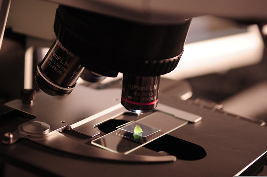 Tiny cells with giant potential