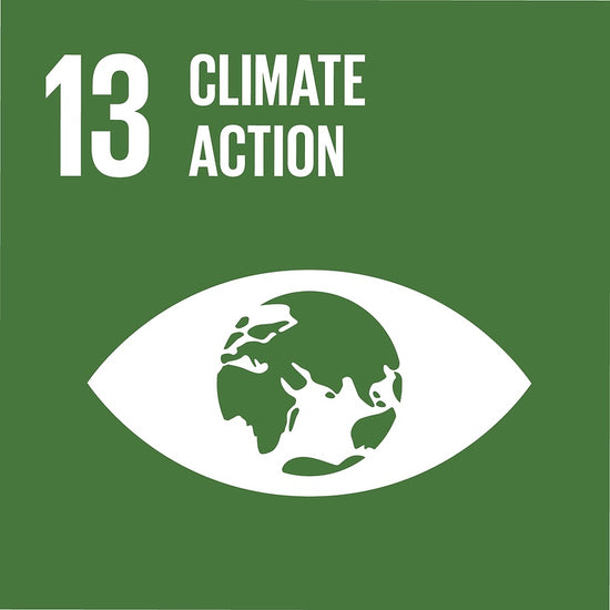 Partnerships United Nation SDG's 13 Climate Action