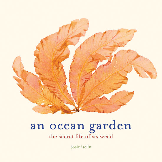 An ocean garden, the secret life of seaweed book , Josie Iselin