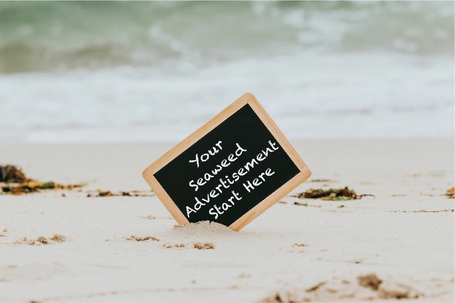 Seaweed and Sea Vegetables products base Advertisement