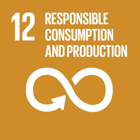 Partnerships United Nation SDG's, 12 Responsible consumption and production