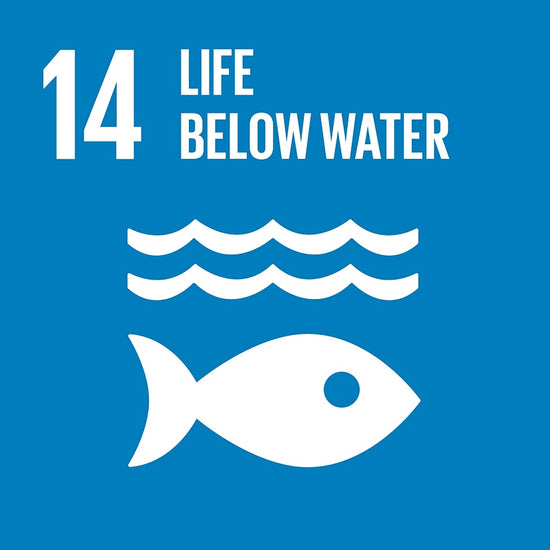 Partnerships United Nation SDG's 14 Life Below Water