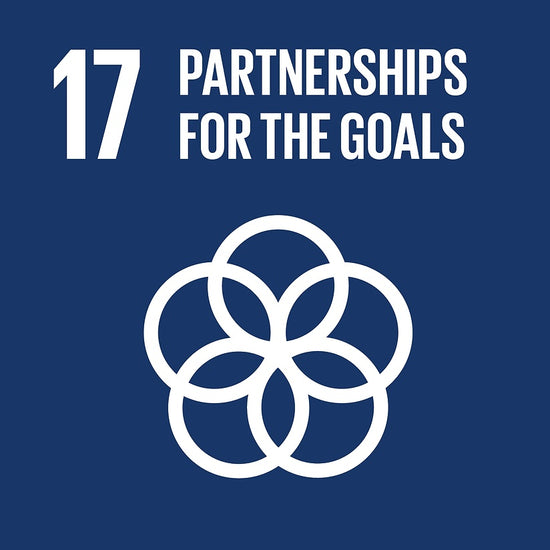 Partnerships United Nation SDG's 17 Partnerships for the Goals
