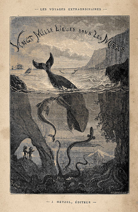 Les voyages extraordinaires, Book Jules Vernes